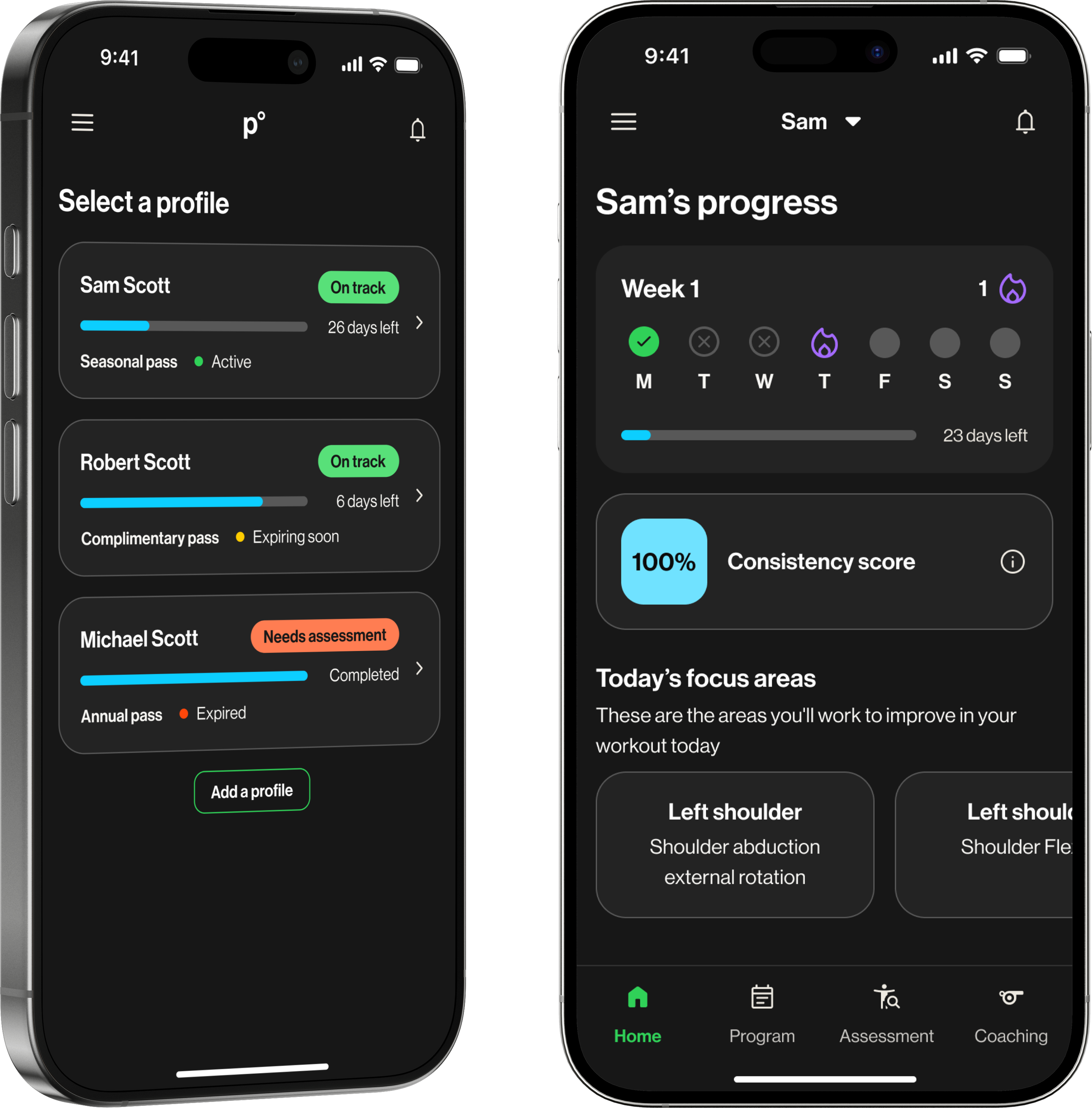 Final Guardian dashboard showing profile selection and progress tracking